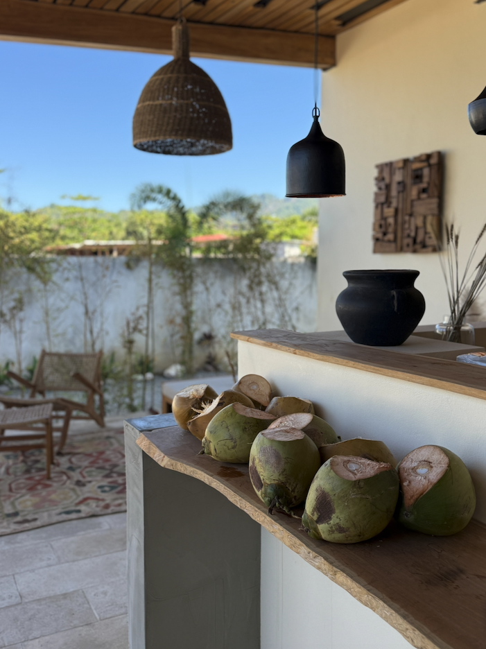 Fresh coconuts on the outdoor bar overlooking the jungle
